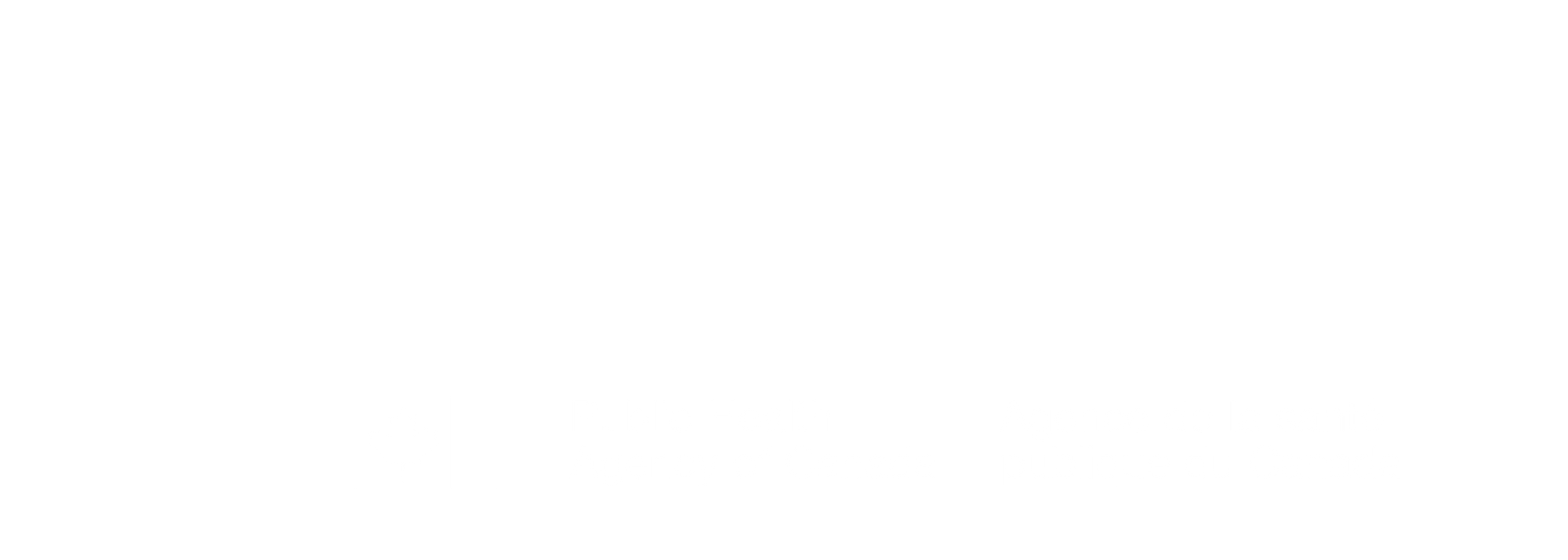 CNISP logo